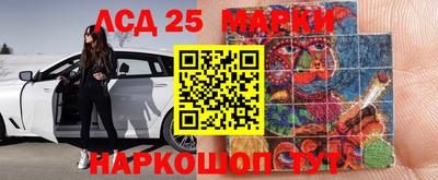 индика Брянск