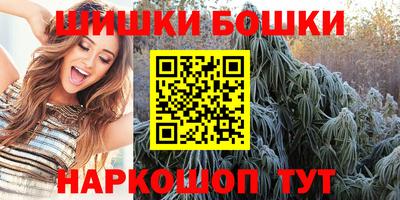 индика Брянск