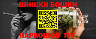 индика Брянск
