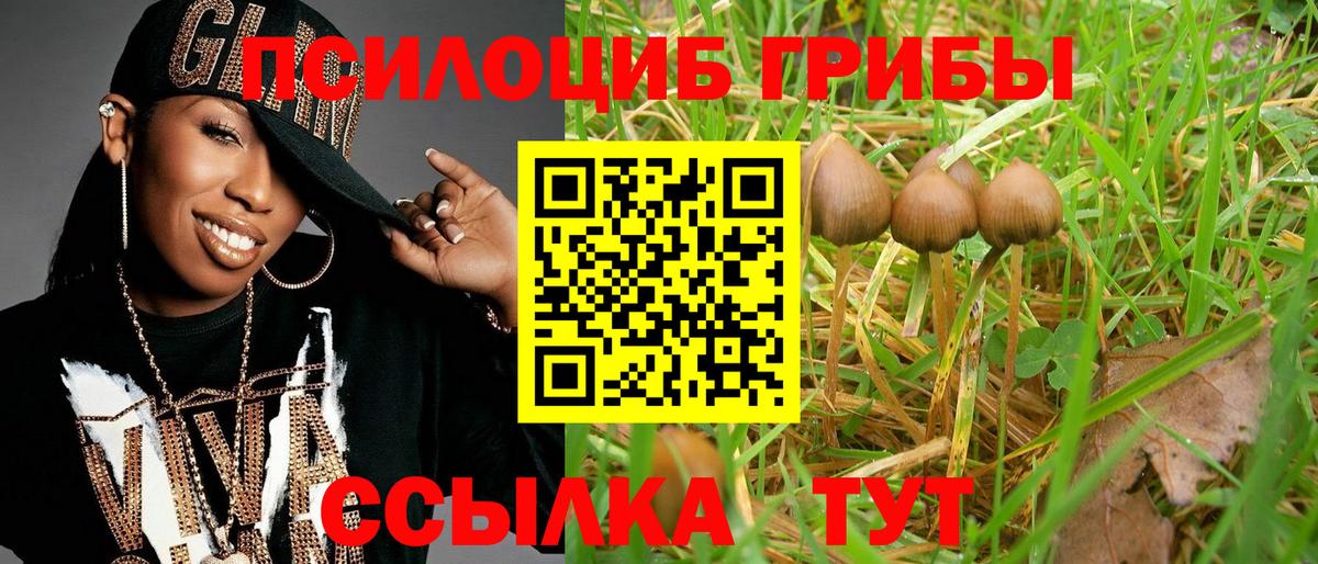 Галлюциногенные грибы Psilocybe  Псилоцибиновые грибы Magic Shrooms  Борисоглебск  Вход с VPN 