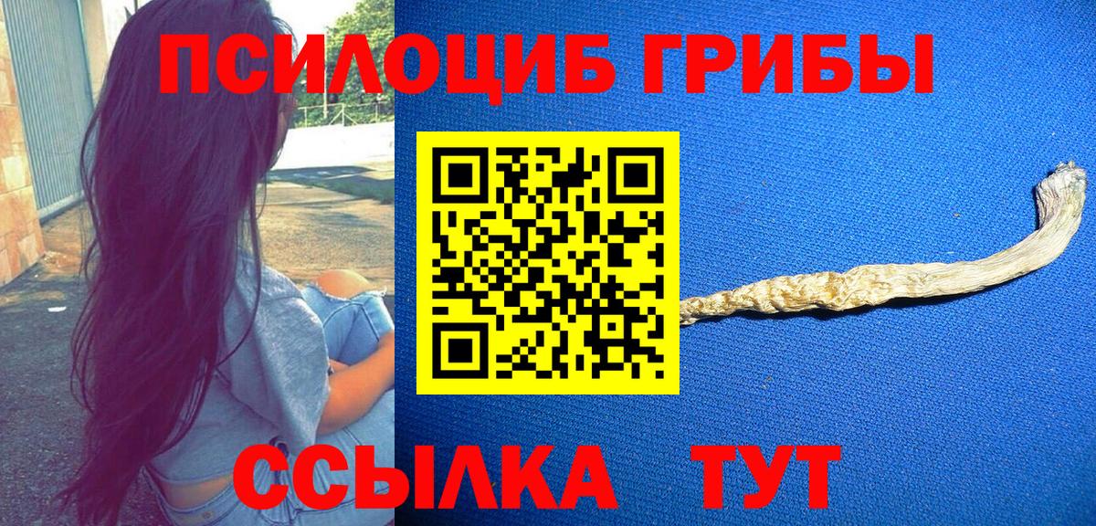 Псилоцибиновые грибы мицелий Борисоглебск